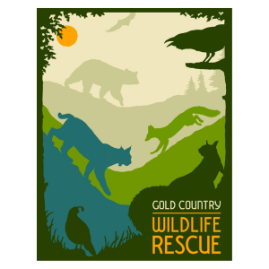 Gold Country Wildlife Rescue logo